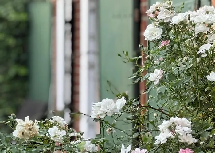 Ban 01a Casa de Férias