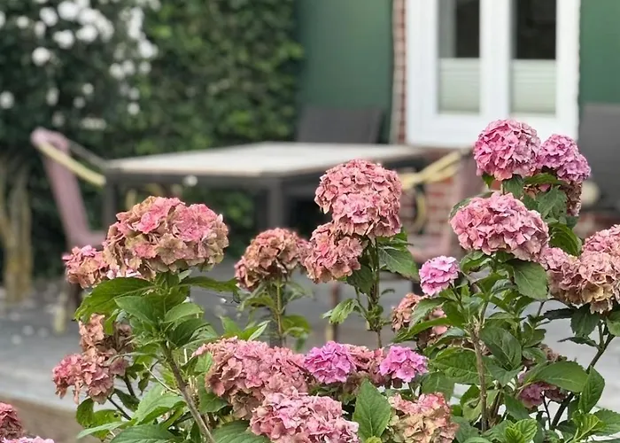 Ban 01a * Gremersdorf